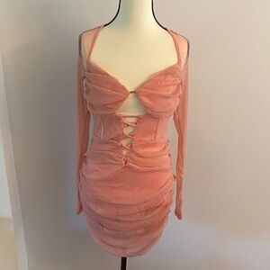 NWT fashion Nova a little bubbly mesh blush mesh mini dress